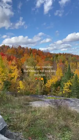 I love summer but there’s really nothing like sweater weather, crisp fall air, and pumpkin spice🍂🍁  Do you like fall or summer better? Let me know in the comments⬇️ #fallyall #fallaesthetic #adventures #travel #ontario  Fall • Ontario • Canada • Foliage • Cozy Vibes • Travel • Adventure • Hiking • Outdoors • Pumpkins • Autumn 