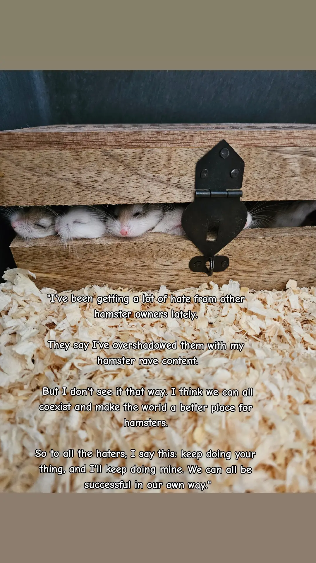 #hamstergym #hamsters #fyp #pets #hamstersoftiktok #hamster #mouse #viral #funny #wildmouse #gc 