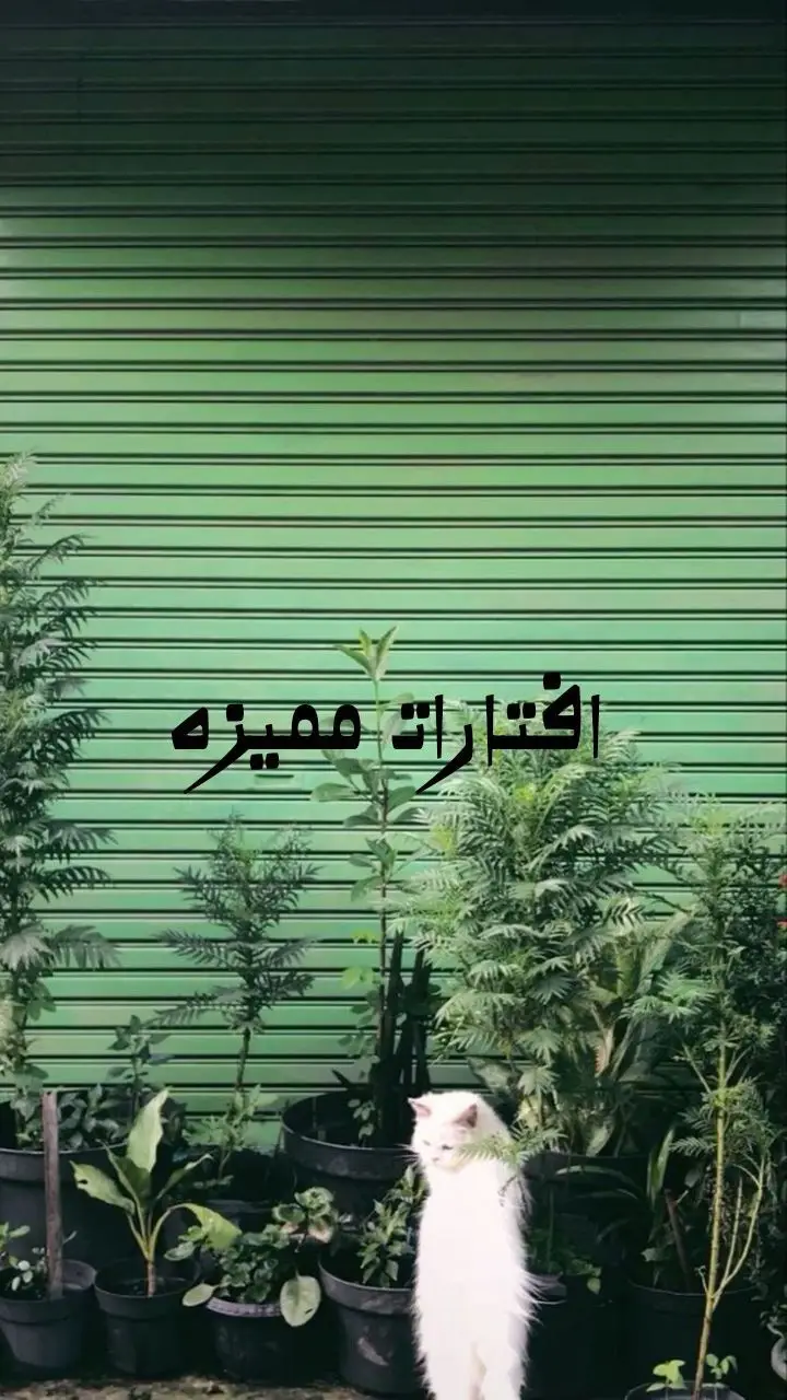 افتارات مميزه #ronaldo #messi #viral #افتارات #دان 