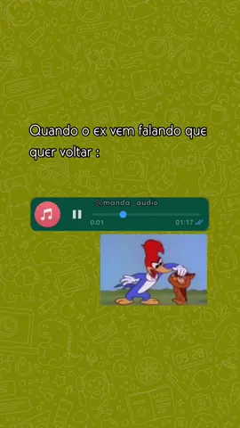 Ah é você outra vez?  #picapau #meme #whatsapp #audio #engraçado 