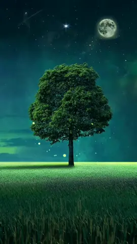 Tree Of Life Live Wallpaper
 
  #Tree #LiveWallpaper #SVB #SVBLiveWallpaper #Animation #Fyp 
 
  Now Release For Download On My TikTok And YouTube Channel! (Up To 2K/4K Without Watermark, Short Loop, Small Size And Fit Perfect With All Devices Screen)
 
 Make Sure You Follow My TikTok And Subscribe My YouTube Channel For More Live Wallpaper And Fun! 
 
 Please Don't Forget To Click On The Bell Notification To Get Update With Every New Videos On Time.
 Thank You.
 
 For More Video :
 -----------------------------
 About S.V.B YouTube Channel : 
 (https://bit.ly/3GjWDNa)
 
 About S.V.B Facebook Page :
 (https://bit.ly/33dP6Rq)
 
 About S.V.B TikTok Page :
 (https://bit.ly/3MkDEWy)
 ----------------------------