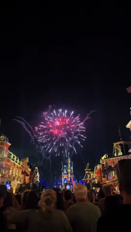 Officially making magic  #disney #wdw #dcp #disneyworld 
