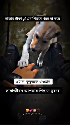 ৫ টাকা কুকুরকে খাওয়ান সারা জীবন আপনার পিছনে ঘুরবে  #foryoupage #viraltiktok #trendingvideo #fypシ #bdtiktokofficial🇧🇩 #unfrezzmyaccount 