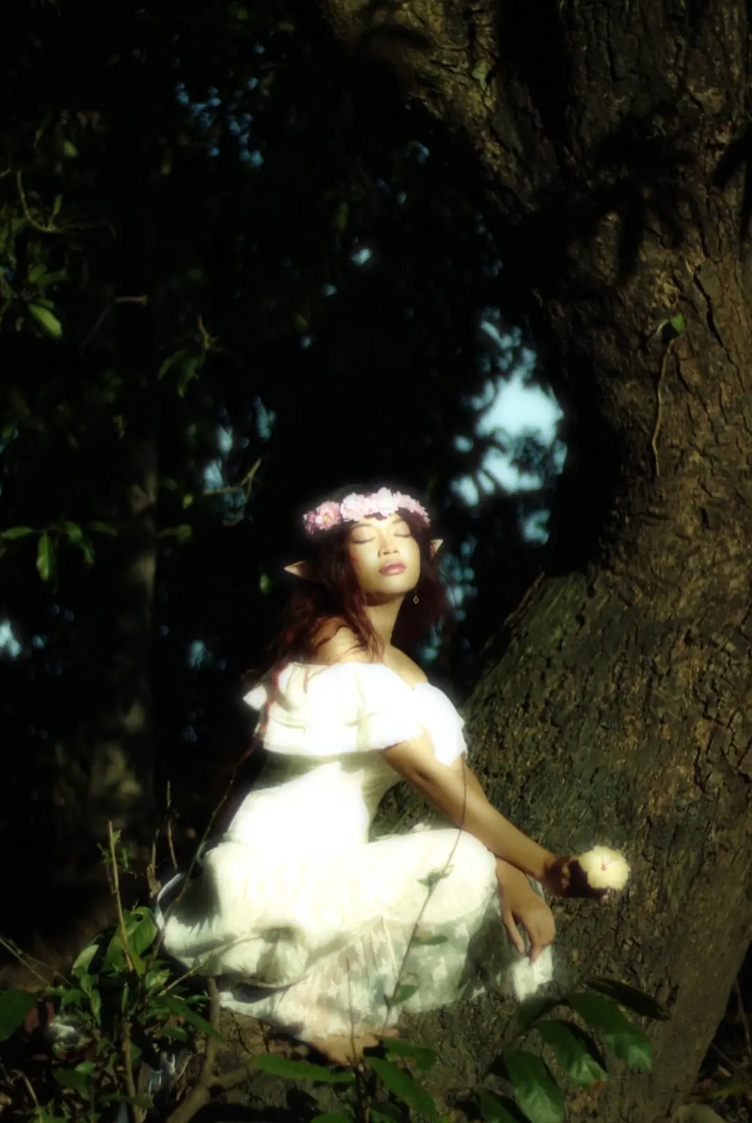 . . . . #fairy #fairycore #fairycoreaesthetic #fairyaesthetic #fairyshoot #photography #photoshoot #fyp 