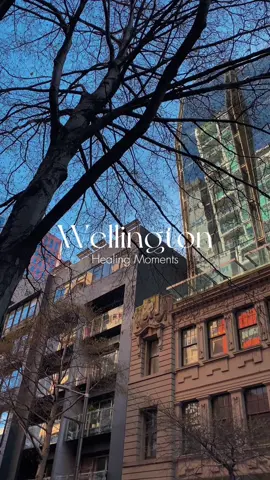 Take my hands. Close your eyes. Now feel  #videography #wellington #newzealand #aesthetic #fyp #edit 