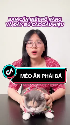 PHẢI BIẾT ! Đây là các dấu hiệu khi mèo ăn phải bả ! #master2023bytiktok #limmeo #meo #bameo #lovecat 