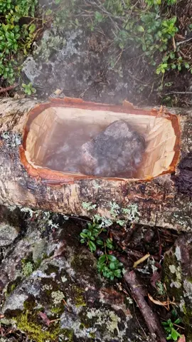 No kettle? No problem! Bushcraft is the solution 🤠 #bushcraft #survival #bushcraftskills #survivalskills #fyp #viral #viralvideo 