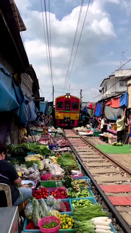 Provavelmente a feira mais inusitada que você já viu, não é?! 🚂👀🍊🍌🥦🥕🥬🫑 Esse é o famoso mercado do trem, também conhecido como train markert e chamado originalmente de Maeklong Railway Market. Distante a cerca de 80km de Bangkok, esse mercado atrai centenas de pessoas diariamente. Algumas para comprar seus suprimentos diários, outras para ver o momento peculiar em que o trem passa no meio do mercado e outras ainda, dentro do trem e vendo tudo se desfazer para a chegada da locomotiva. Esse mercado fica também muito próximo dos famosos mercados flutuantes e, com um passeio bem organizado, você pode visitar os dois lugares em um só dia e sem perrengues. Junta tudo isso a um guia falando português e a sua visita aos mercados mais exóticos de Bangkok está completa. Quem aí também planeja ser uma das pessoas nos trilhos, comprando ou dentro do trem?  Digite 🚂 se você leu até aqui e pretende visitar o mercado… tchu tchuuu!  🏝🌏 📍Bangkok, Tailândia⁠ 🇹🇭 🎥 @niko_gaspa  ⏩⏩⏩⏩⏩⏩⏩⏩⁠ 🚣 Curta os melhores lugares da Tailândia e marque suas fotos com #tailandiando para aparecer por aqui. | #tailandia #bangkok 