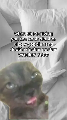 #clubcat #meme #fyp 