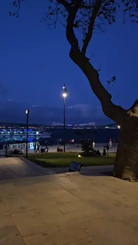Lügatında ne kadar çok kelime olursa olsun;  Kendini anlatmak için bazen sessizliği seçersin ...🥀  __________________________ 