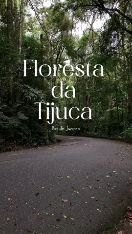 A paz desse lugar #florestadatijuca #riodejaneiro #rj #errejota #trilha #cachoeira 