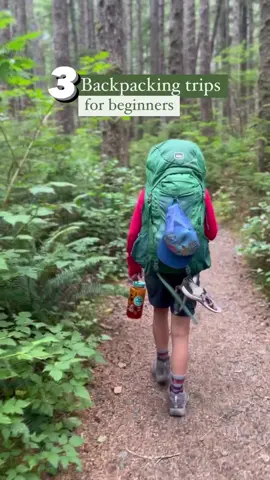 If you’re new to backpacking, or backpacking with kids, these spots are absolutely perfect: 1. Washington coast on the Olympic peninsula. Sand point, Cape Alava, Rialto beach, third beach, and Shi Shi beach are all 3 miles in or less! 2. Hell Roaring lake in the sawtooths. An easy 5 miles or 2.5 if you have high clearance to a crystal clear alpine lake. 3. Hells Canyon Idaho. Start from Pittsburg landing and head towards kirkwood ranch. It’s 6 miles there or plenty of campsites along the way. Rolling ups and downs.  What’s your favorite beginner backpacking trip? Drop it in the comments to add to this list👇 . . . #beginnerbackpacker #backpackingwithkids #backpackingtrip #backpackingfamily 