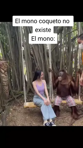 Casi la besa🙈🙉 #monkey #chimpanzee #comedia #coqueto #foryoupage