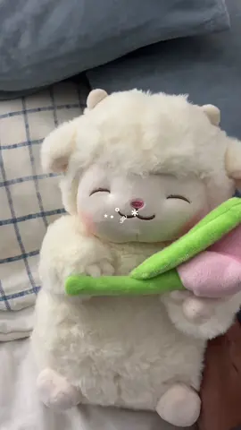 Es demasiado precioso para mi ser               🩶 ༉‧₊˚ ….    lit desde que lo tengo lo trato como mi bebé 😞.           #miniso #corderitocontulipan #plushie #minisoplush 
