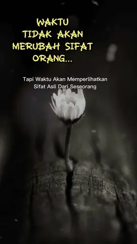 #katakatamotivasi #quotessindiran #quoteskeren #quotestory #quotesaesthetic #katakatamutiara #katakataistriuntuksuami 