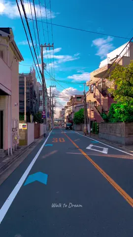 Sunny Day 🌤🍃🚲 Tokyo - Kasai Local Area #tokyo #japan #sunny #cycling #trending #hashtag #japantravel #japanlife #japantiktok #city #kasai #peaceandlove #naturevideography #japaneseculture 