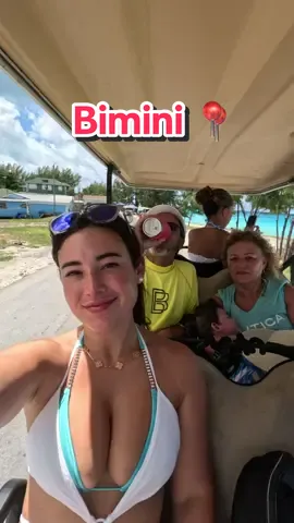 Bimini by land 