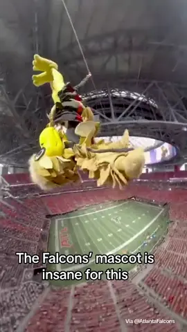 Would you be brave enough to do this? 😳 #atlantafalcons #falconsmascot #nfl 