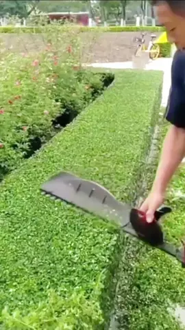 #cutting  #lawn  #yewhedges  #pruning  #fypシ  #foryou  #trending  #viral  #gardentok  #cleangarden  #asmr