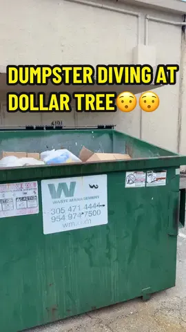 Dumpster Diving at Dollar Tree😱🥳‼️ #meldidumpsterdive #fyp #jackpot #dumpsterdiving #usa #dumpsterdiver #dumpsterdivefinds #dollartree #dollartreefinds 