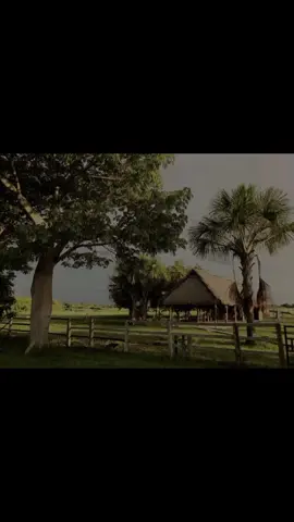 Tardes grises de Junio.🤠 🎶 el noble rancho de palma🎶 ❤️ #jorgeguerrero #venezuela #Llano #musicallanera 