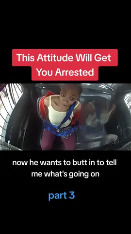 This Attitude Will Get You Arrested part 3 #attitude #karen #dramatic #foryoupage #fyp #drama #cops #copsoftiktok 