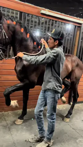 @Hacienda Madrigal, Woodland CO #sinaloa🍅 #parranda#caballos @
