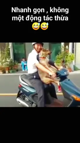 Nhanh gọn không một động tác thừa 😂🐶 #giaitri #vuinhon #haihuoc #fypシ #dogs #dog #funnydog #chó #funnyvideos #pet #funny #viral #funnyvideo #fyp #dogsoftiktok #pets 