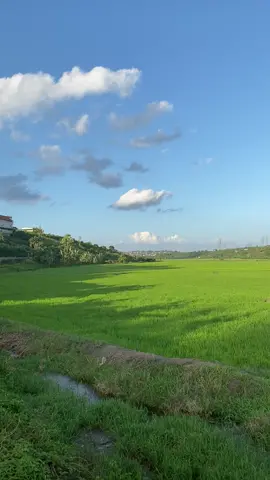 Chào mừng các em ghệ đến với anh