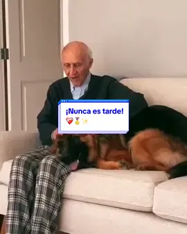 Nunca es tarde para aprender. Mira cómo este adulto lo logró. 💪❤️‍🩹⭐️  #nuncaestarde #entrenamientocanino #pastoraleman #ancianosfelices #reflexion 