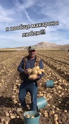 #картошкамакарошкисосискиводка 