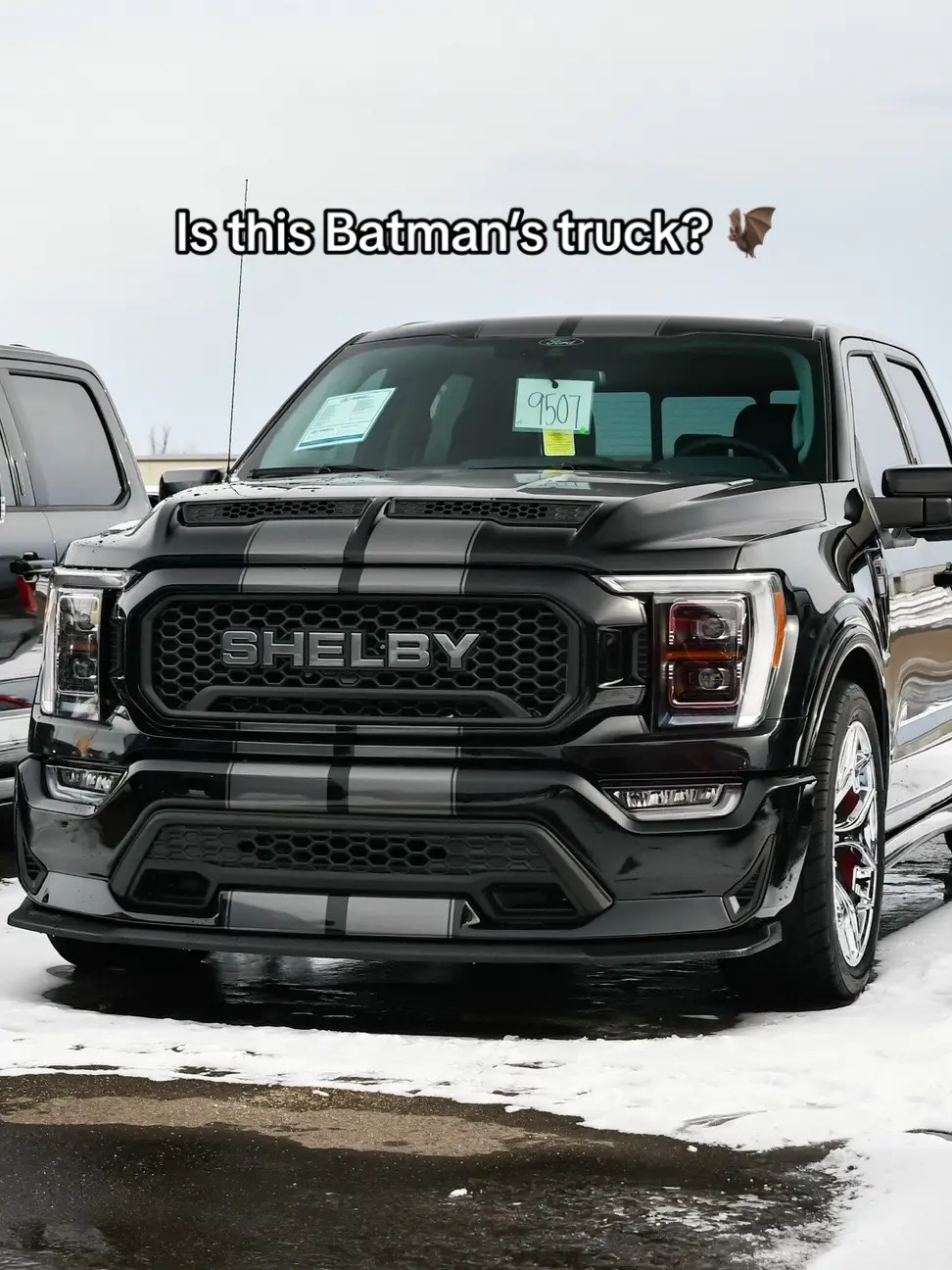 Gotham needs some venom once in a while 🐍 #shelbyf150 #shelby #f150 #batman #gothamcity #shelbyamerican #shelbysupersnake #v8trucks #supercharged #dallasfsp #whipple 