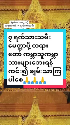 #မေတ္တာပို့သခြင်း🙏🌸🌿 #မင်္ဂလာနံနက်ခင်းပါ #၇ရက်သားသမီးများကျန်းမာကြပါစေဗျာ #သာဓုသာဓုသာဓု🙏🙏🙏 #tiktokuni #fypシ #longervideos #@moemoesan 