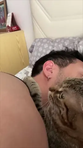 Jealous Cat Slaps a Girl