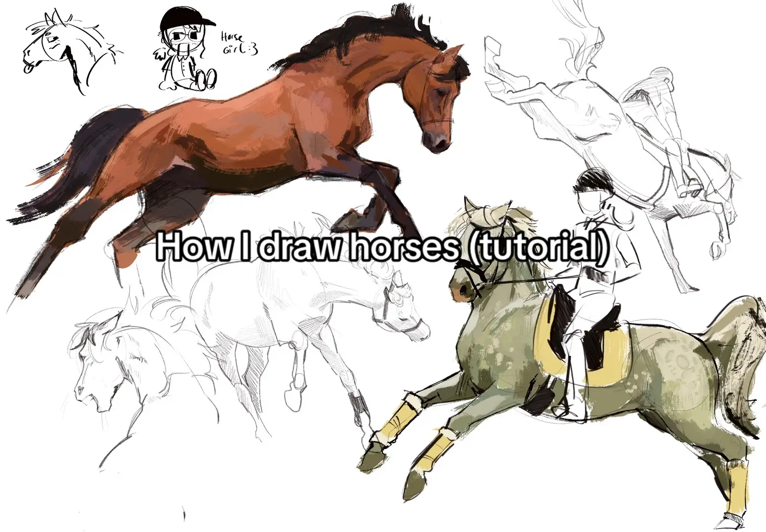 Horses have been my special interest my whole life!! Also im not a proffessional im just a 15yo who likes horses so some of this advice might be wrong sorry. Its just what i do rn 😭😭 #horse #equestrian #horsetok #art. #artist #fyp. #foryou #tutorial #howtodraw #process 