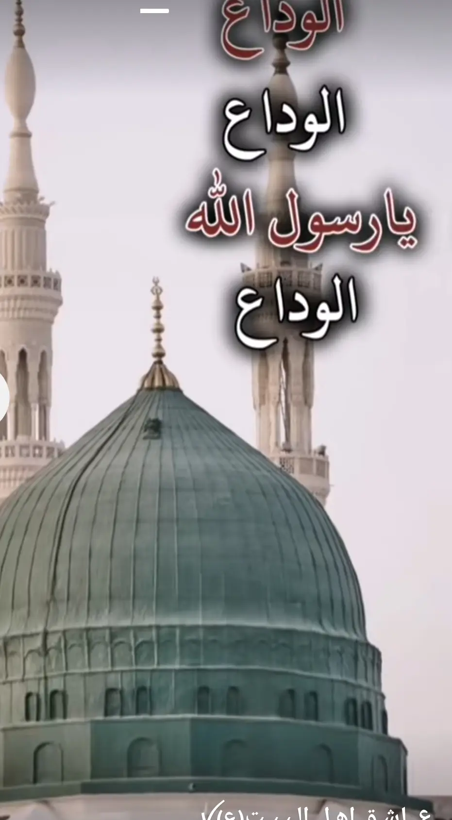 الوداع الوداع يا رسول الله الوداع #لايك_متابعه_اكسبلور_فضلاً_وليس_أمراً💔 #cake #CapCut #وصلوالفيديو5000لايك_بليز🥺✨ 