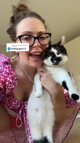 Replying to @dannyjoseph609 Kitty cuddles
