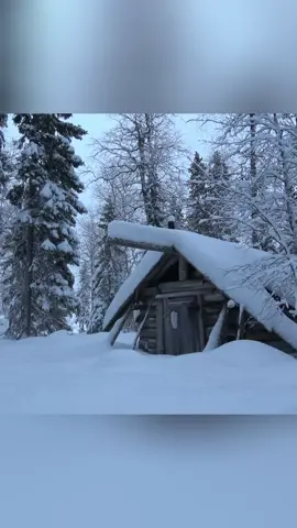 Spend The Night In A Log Cabin During A Snowstorm #bushcraft  #build  #camp  #camping  #survival  #shelter  #wildlife  #Outdoors  #outdoor  #viral  #fyp  #foryou