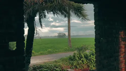 Weather🥹🥰#nature #cloudysky #fyp #foryou #foryoupagee #viral #tiktok #shortvideo #CapCut #videography #tanvir 