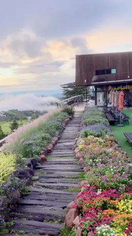 ✨Pino Latte Resort &Cafe เขาค้อ 🏕️🏕️🏕️#U&Me Travel Togethet:ท่องเที่ยวกัน #เที่ยวให้อิจฉาต้องตามไป #pinolatte #เขาค้อ 