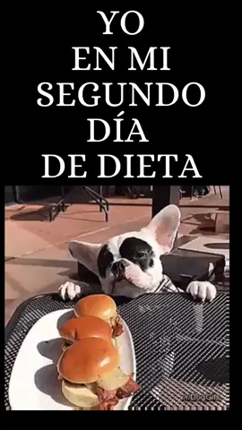 #funny #divertido 