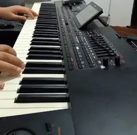Live korg pa4x