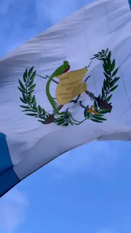 #guatemala #bandera#fyp 