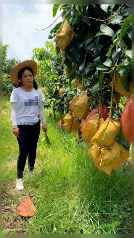 OMG😱✨🥭what skill?🔥#usa #uk #fruit #asmr #fyp 
