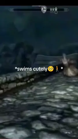 why is Skyrim Buggy #fy #skyrim #skyrimmeme #skyrimtiktok  #thegodsknowwhatyouvedone 