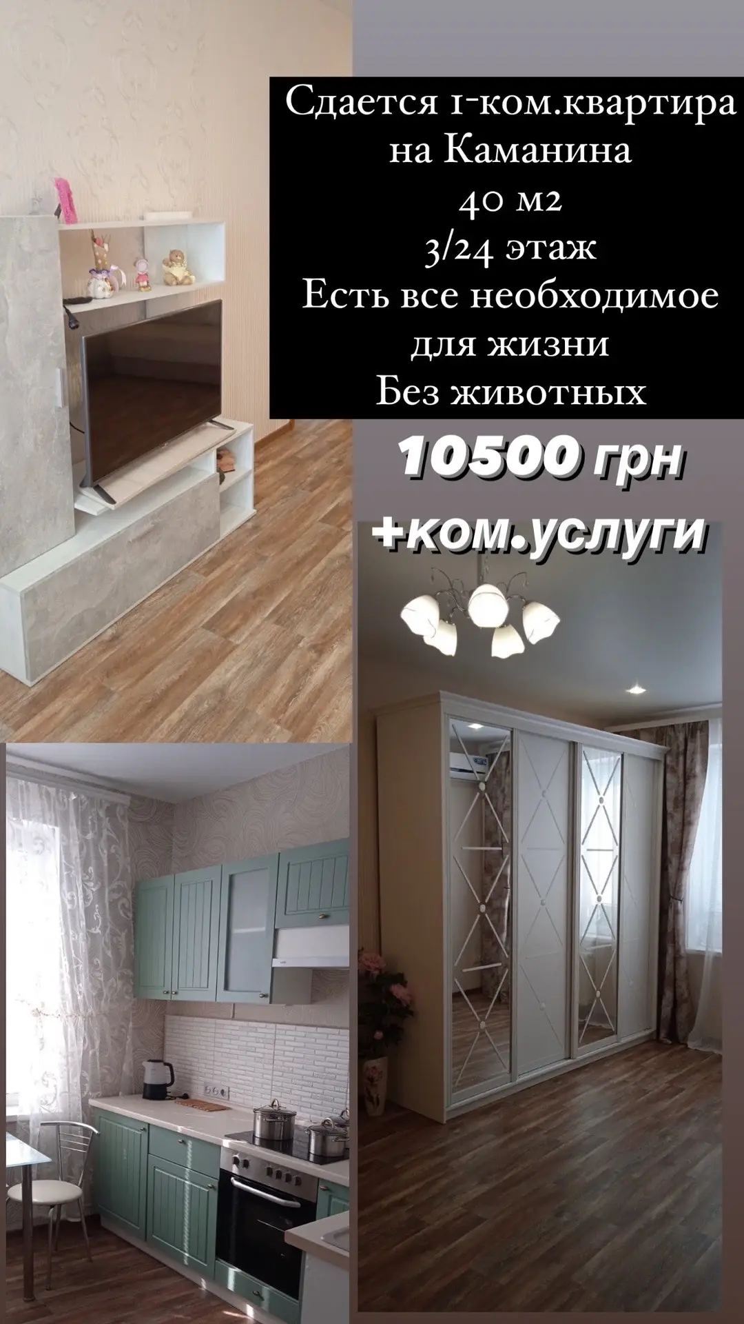 #недвижимостьодесса #сдамквартируодесса #риелтородесса #одесса 