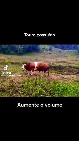 Seria uma possessão real????