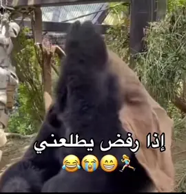 زعلانه🥲 #ضحك #وناسه #طقطقه #اكسبلور #اكسبلور_تيك_توك #foryoupage #viral #fypシ #4u #foryou 