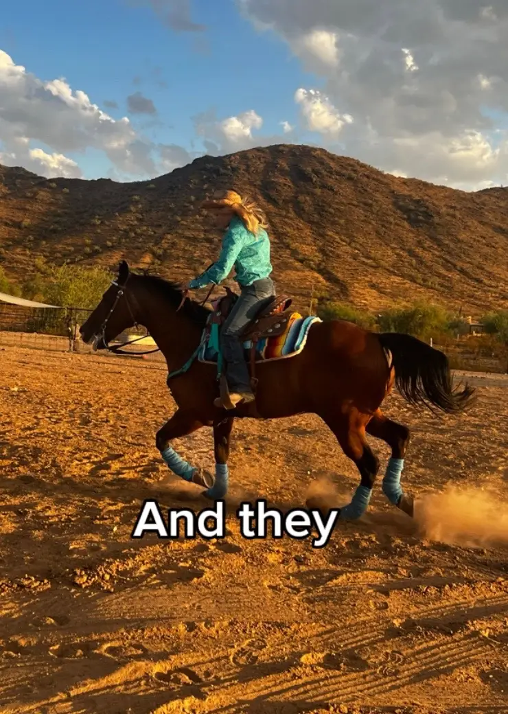 Might delete later 💀#barrelracer #soulhorse #hearthorses❤️🐴 #barrelrscer #equestrian #equality #barrelracingtips #lunging 