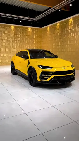 Rate this 0-10😍💛 #lamborghini #urus #suv #yellow #fyp 